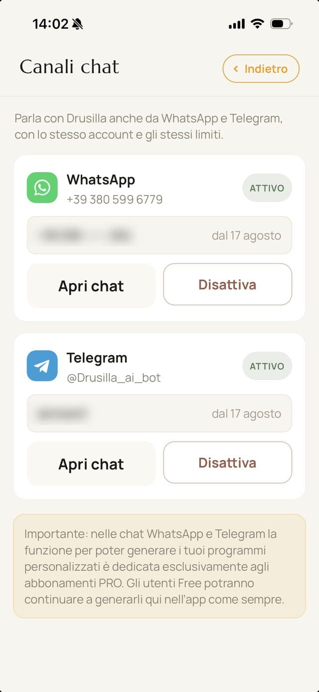 La scheda Canali chat con entrambi i canali attivi