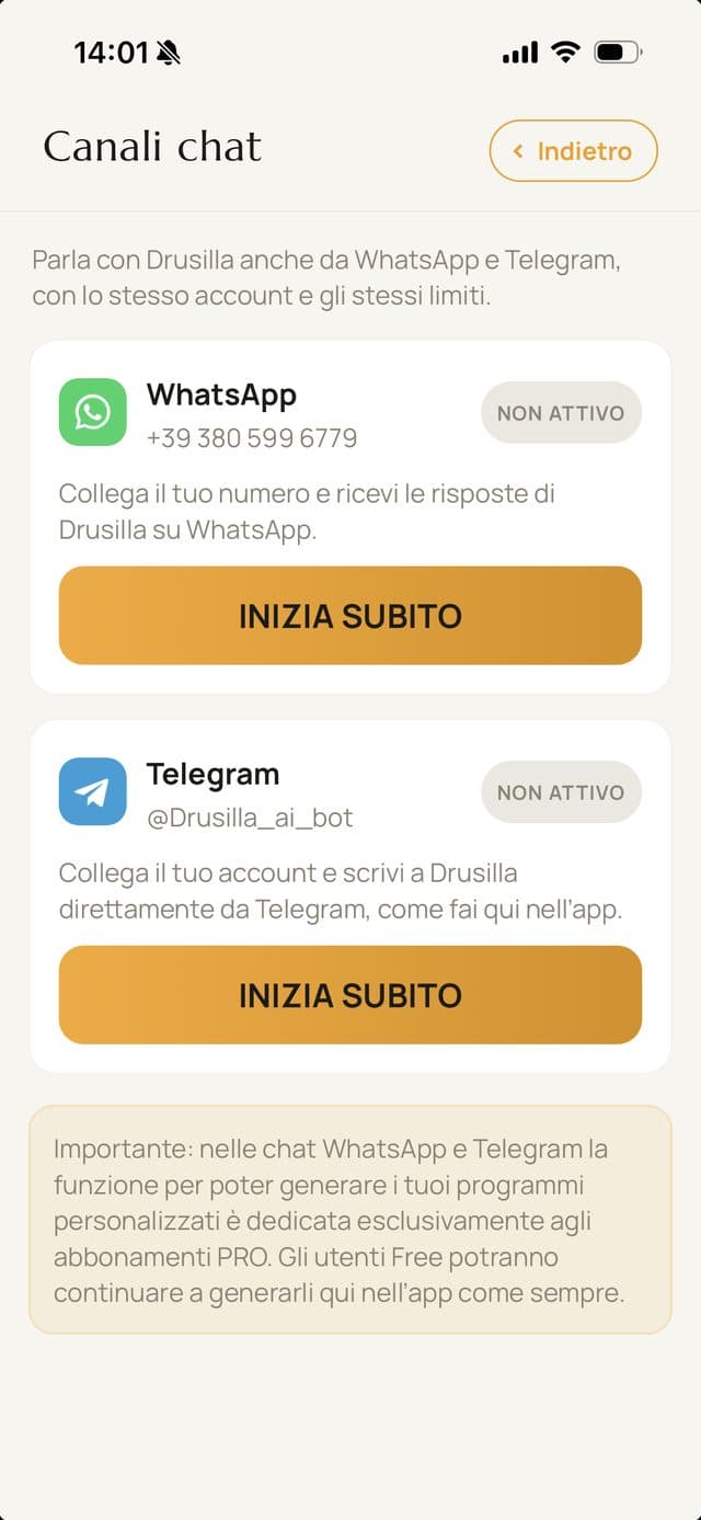 La scheda Canali chat con WhatsApp e Telegram da attivare